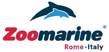 Zoomarine